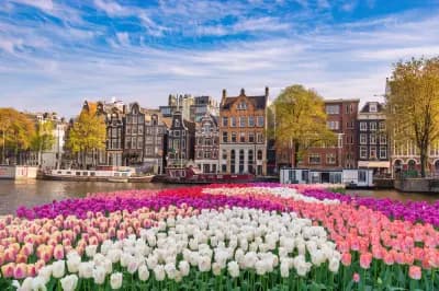 Holland and its Tulips