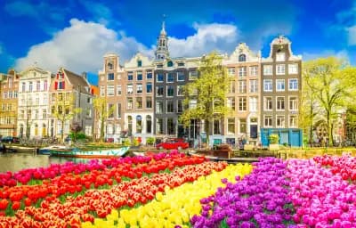 Tulip Season: Holland & Belgium discovery